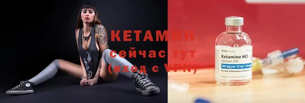 индика Сатка