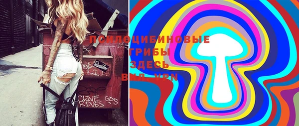 спайс Абдулино