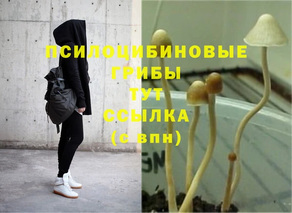 спайс Абдулино