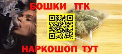 индика Абакан