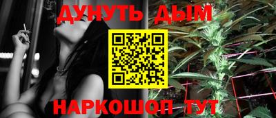 индика Абакан