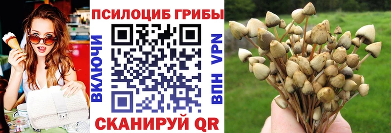 Галлюциногенные грибы GOLDEN TEACHER omg онион Азнакаево
