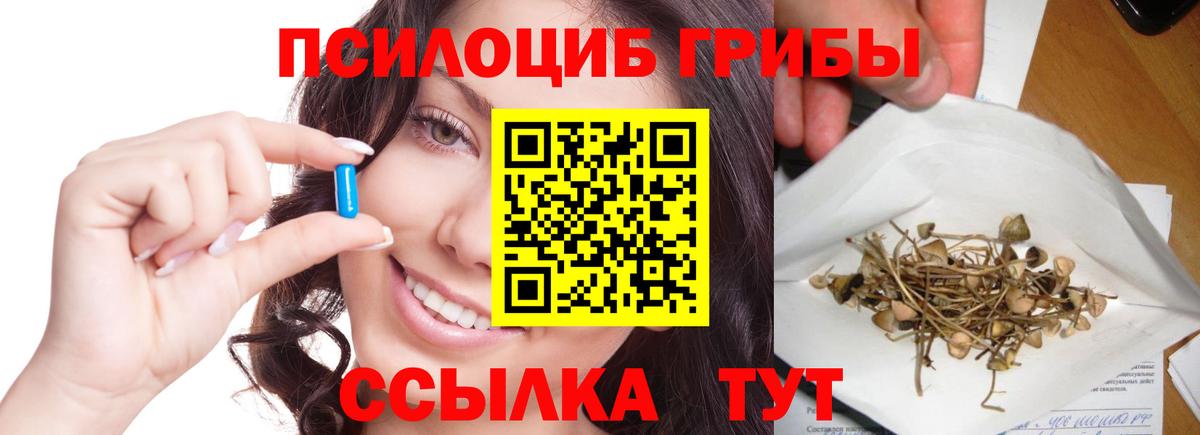 Псилоцибиновые грибы мухоморы Азнакаево
